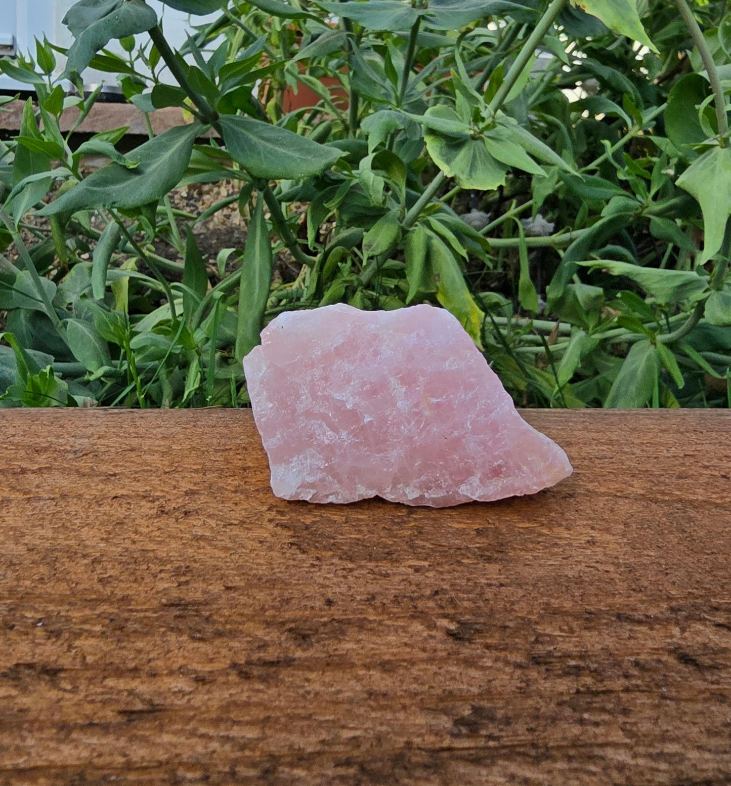 Rough rose quartz chunk