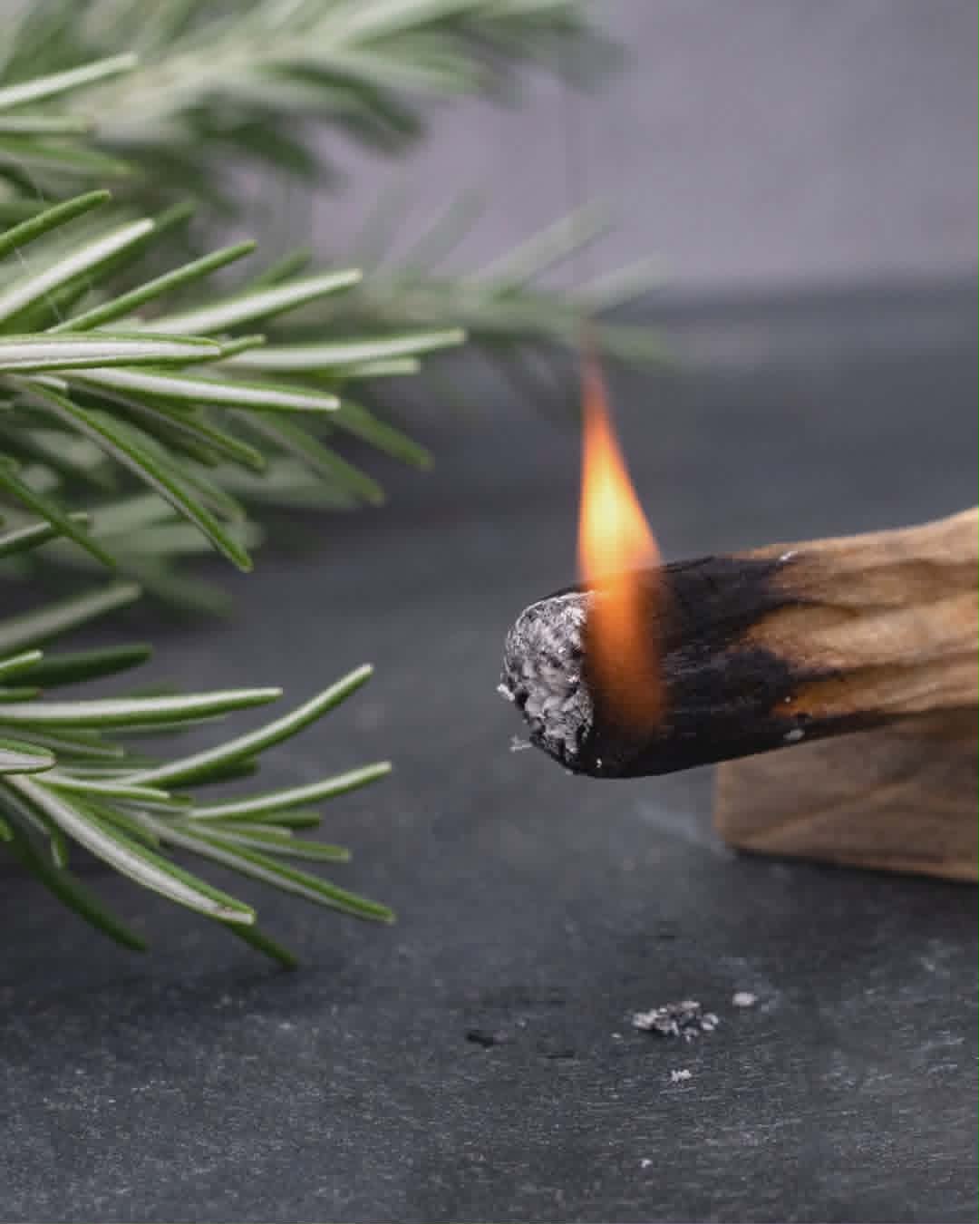Palo Santo