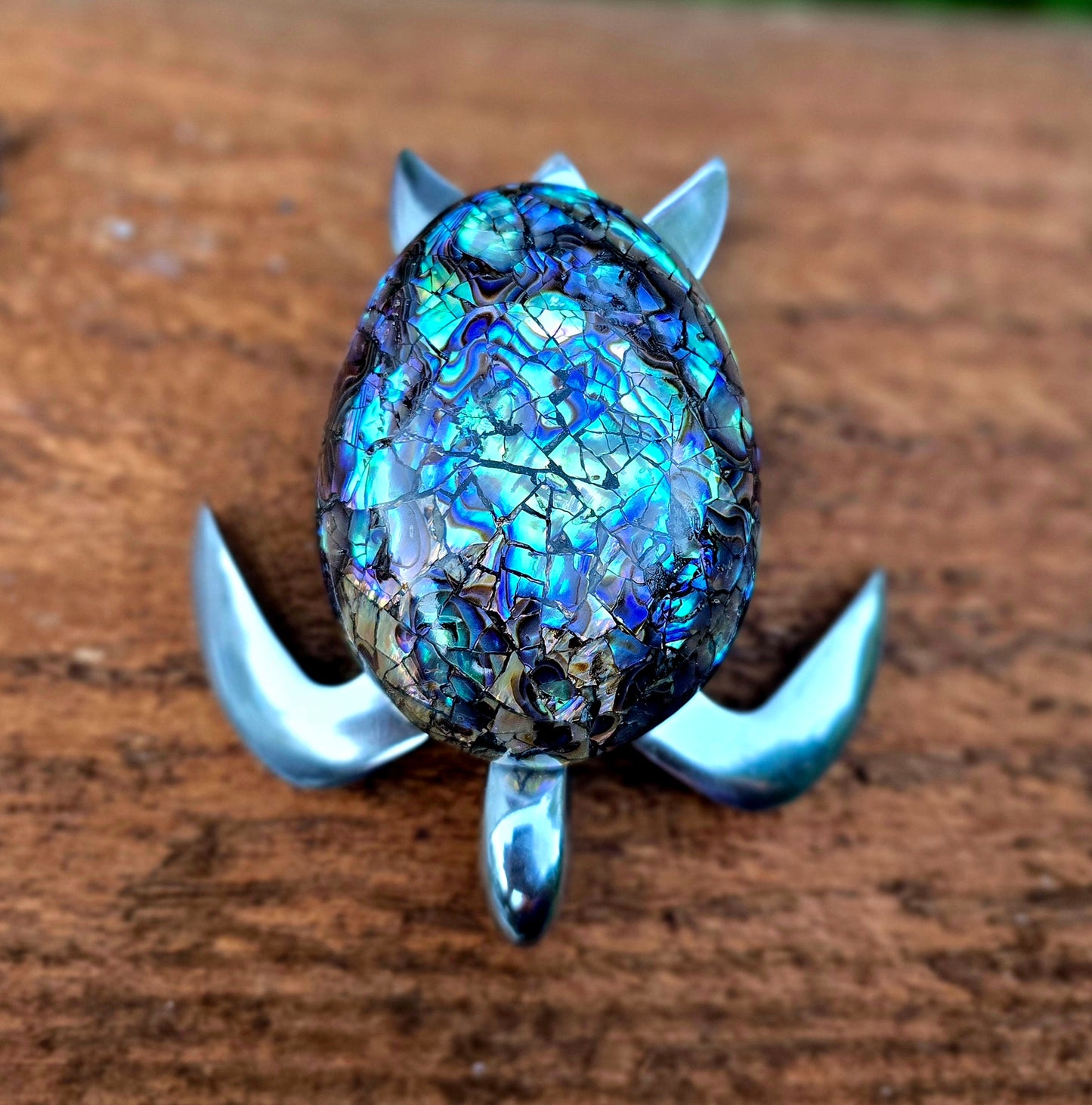 Abalone Turtle
