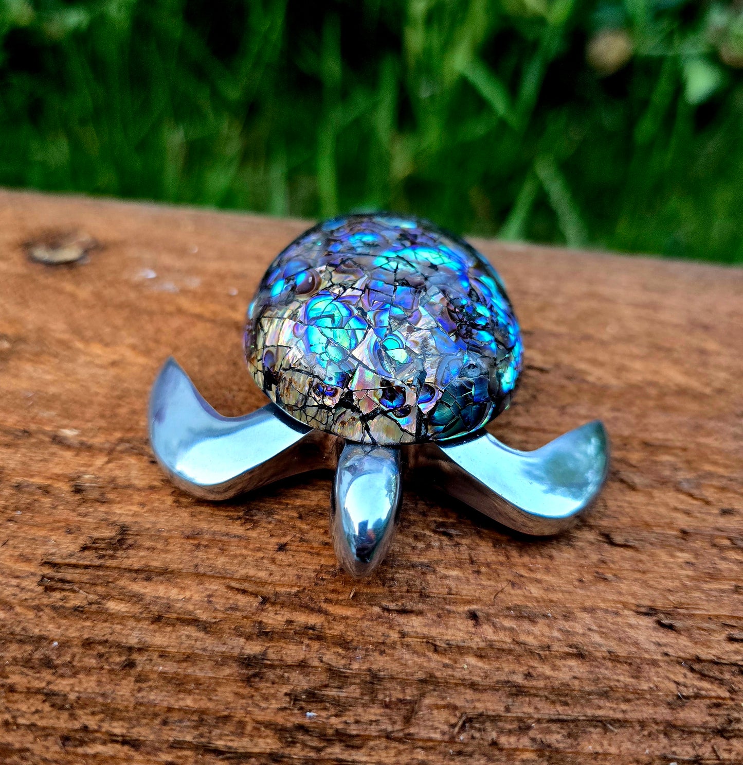 Abalone Turtle
