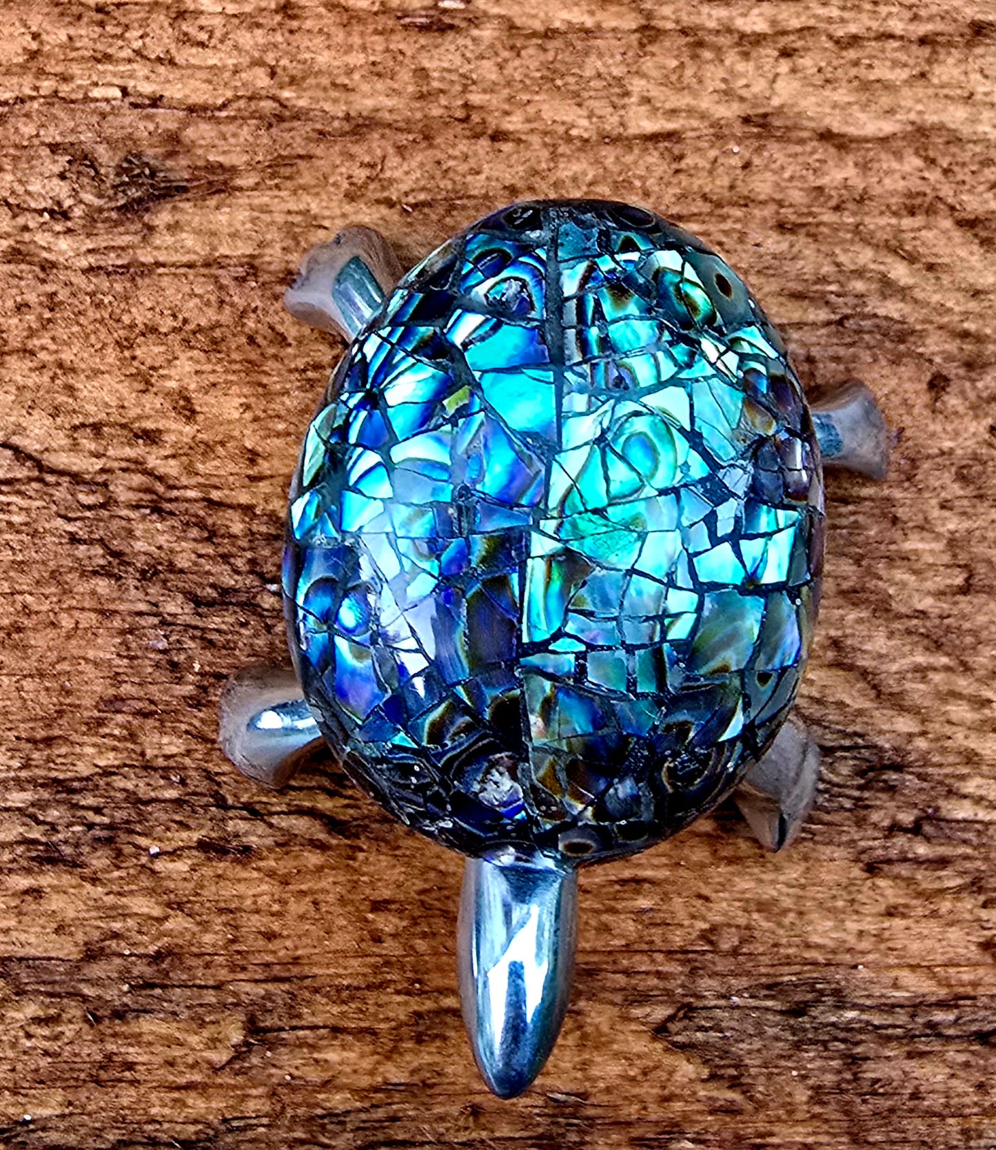 Abalone Turtle