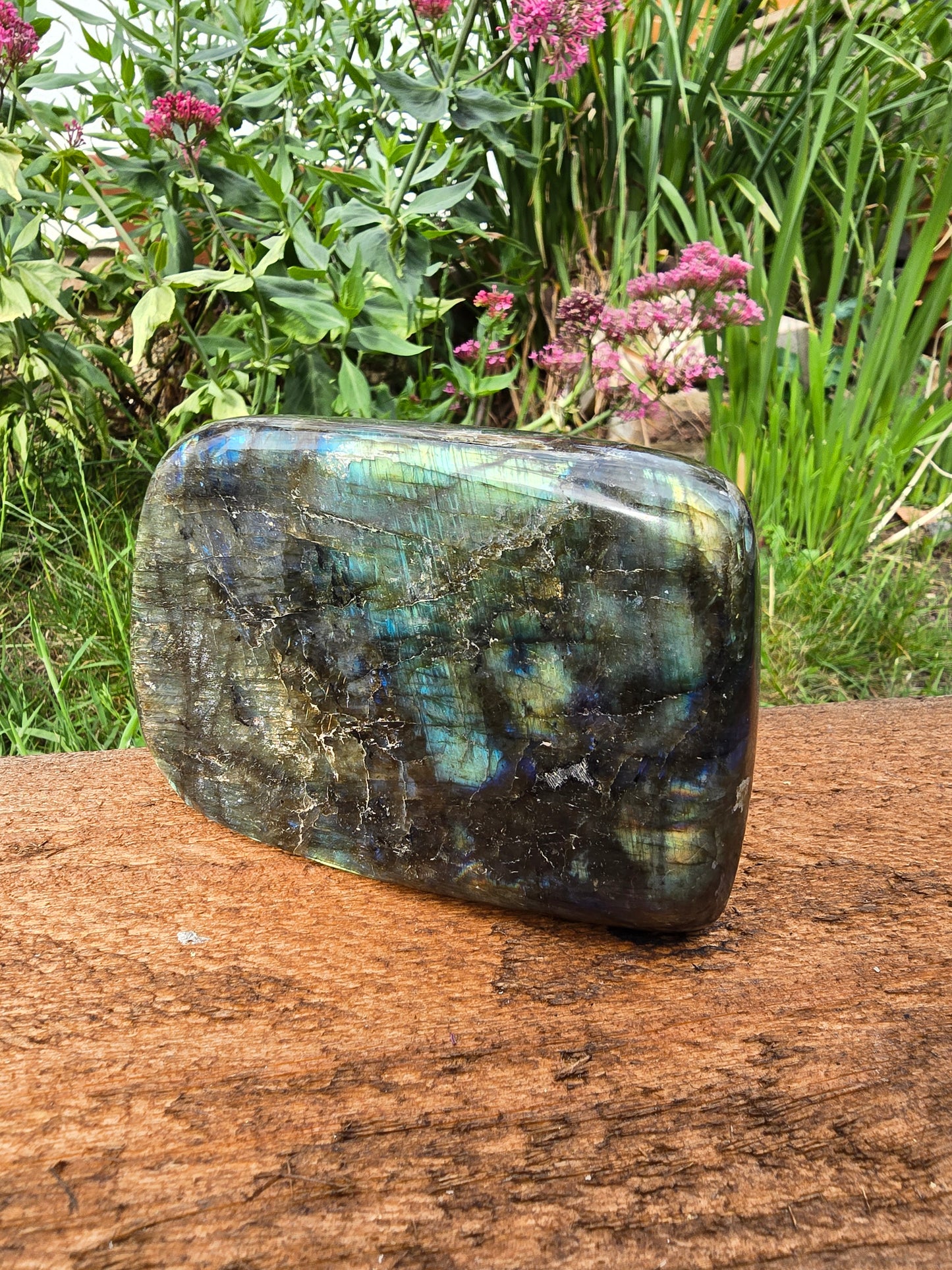 Labradorite Freeforms