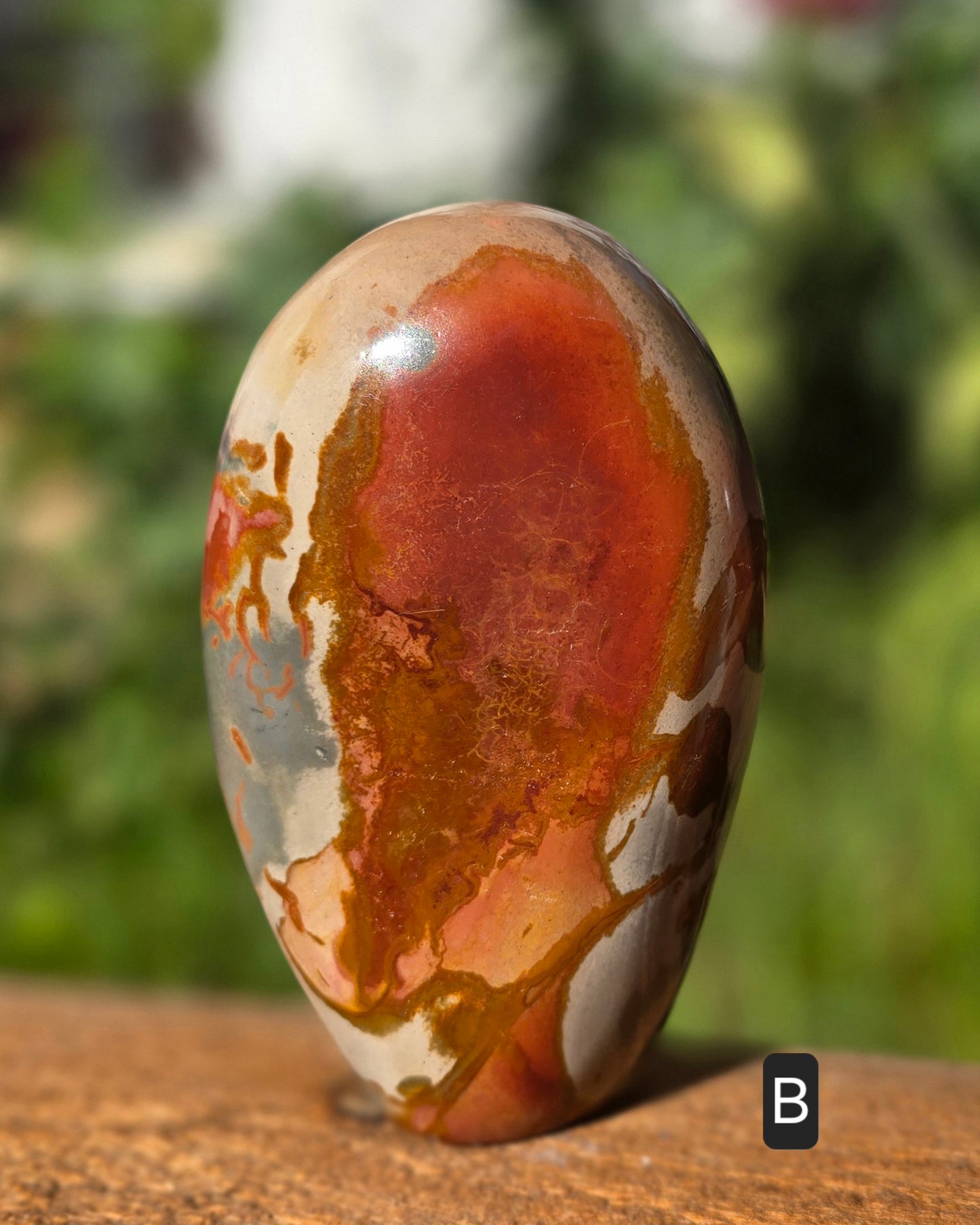 Polychrome Jasper