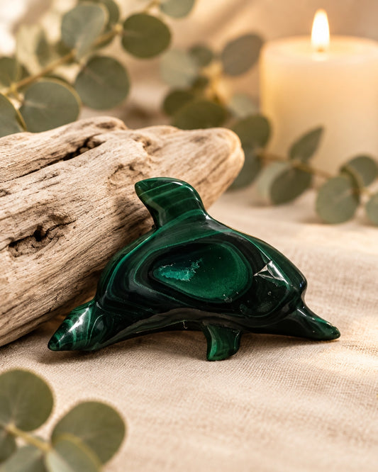 Malachite Dolphin