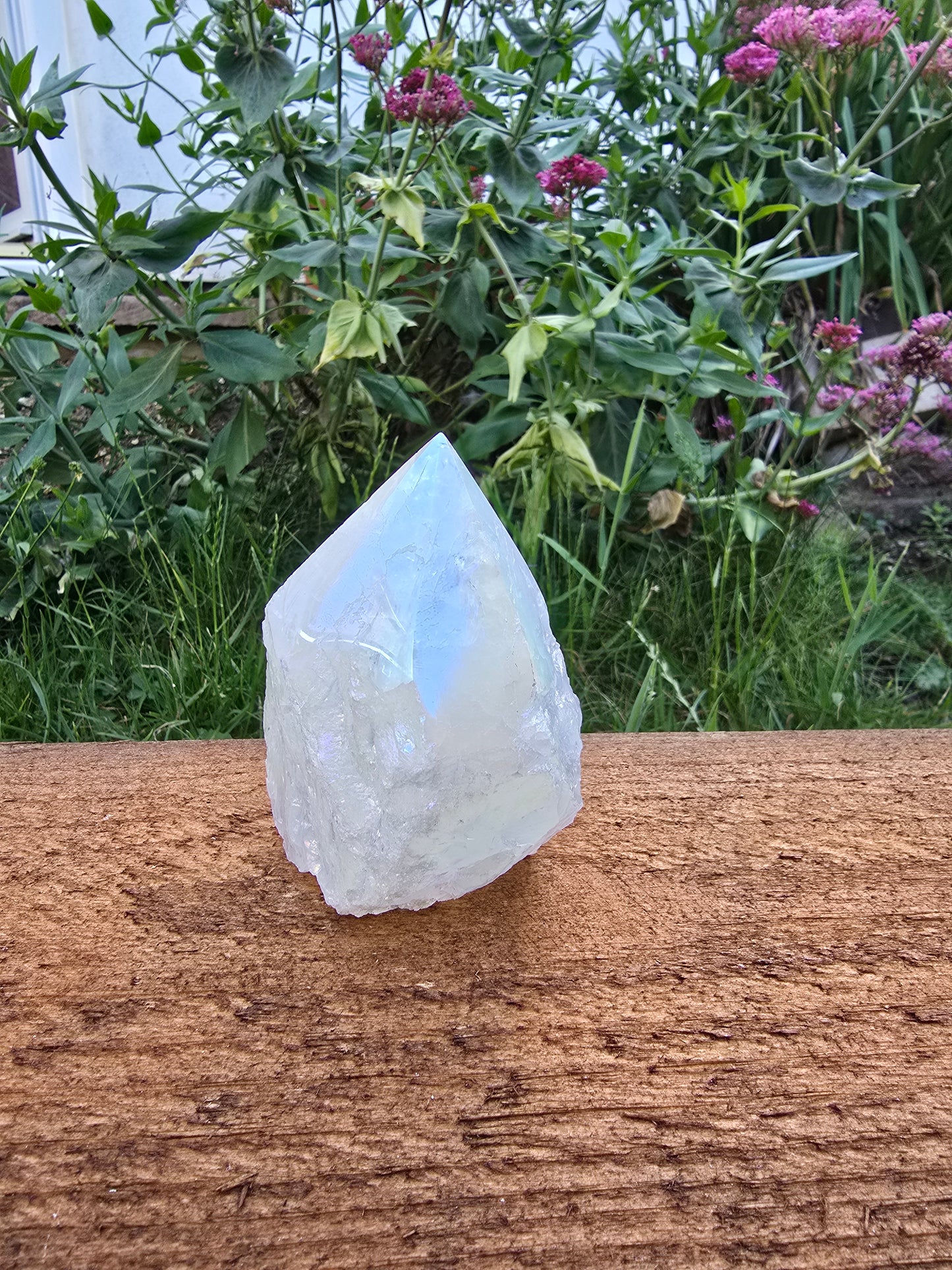 Angel Aura Quartz Point