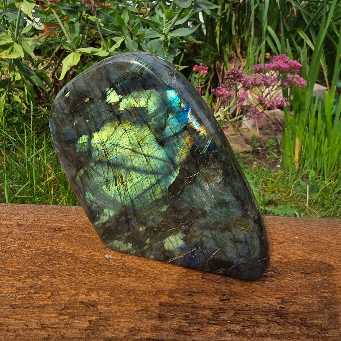 Labradorite Freeforms