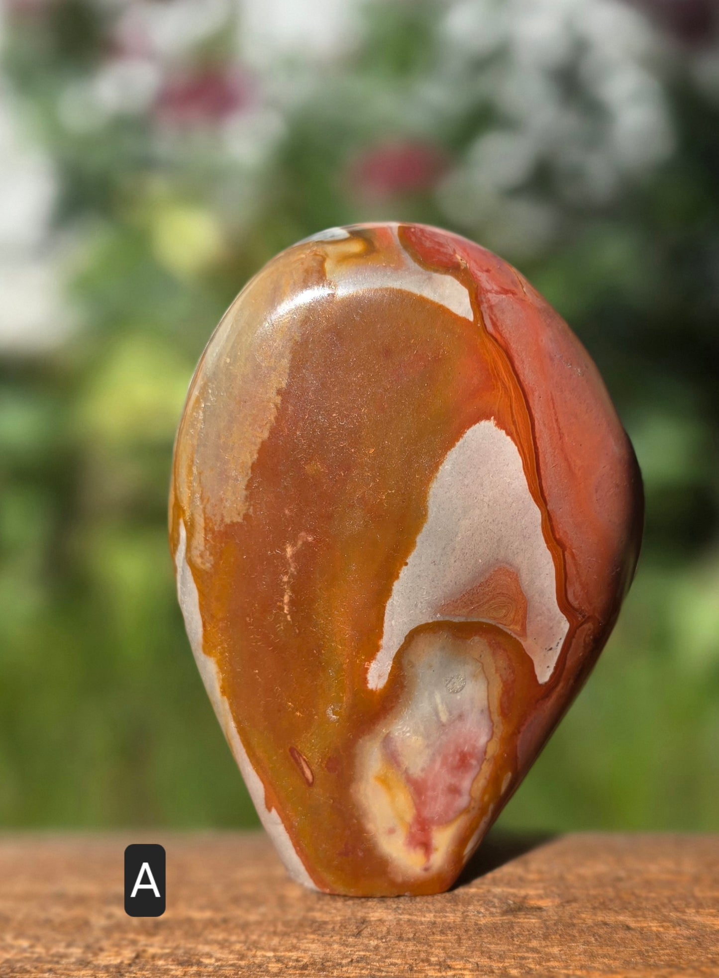 Polychrome Jasper
