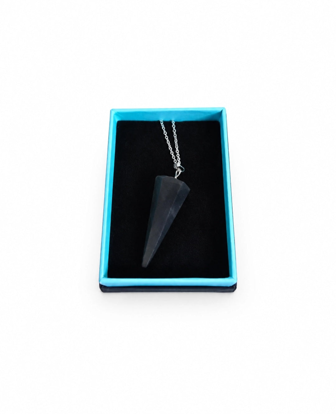 Shungite Pendulum Necklace