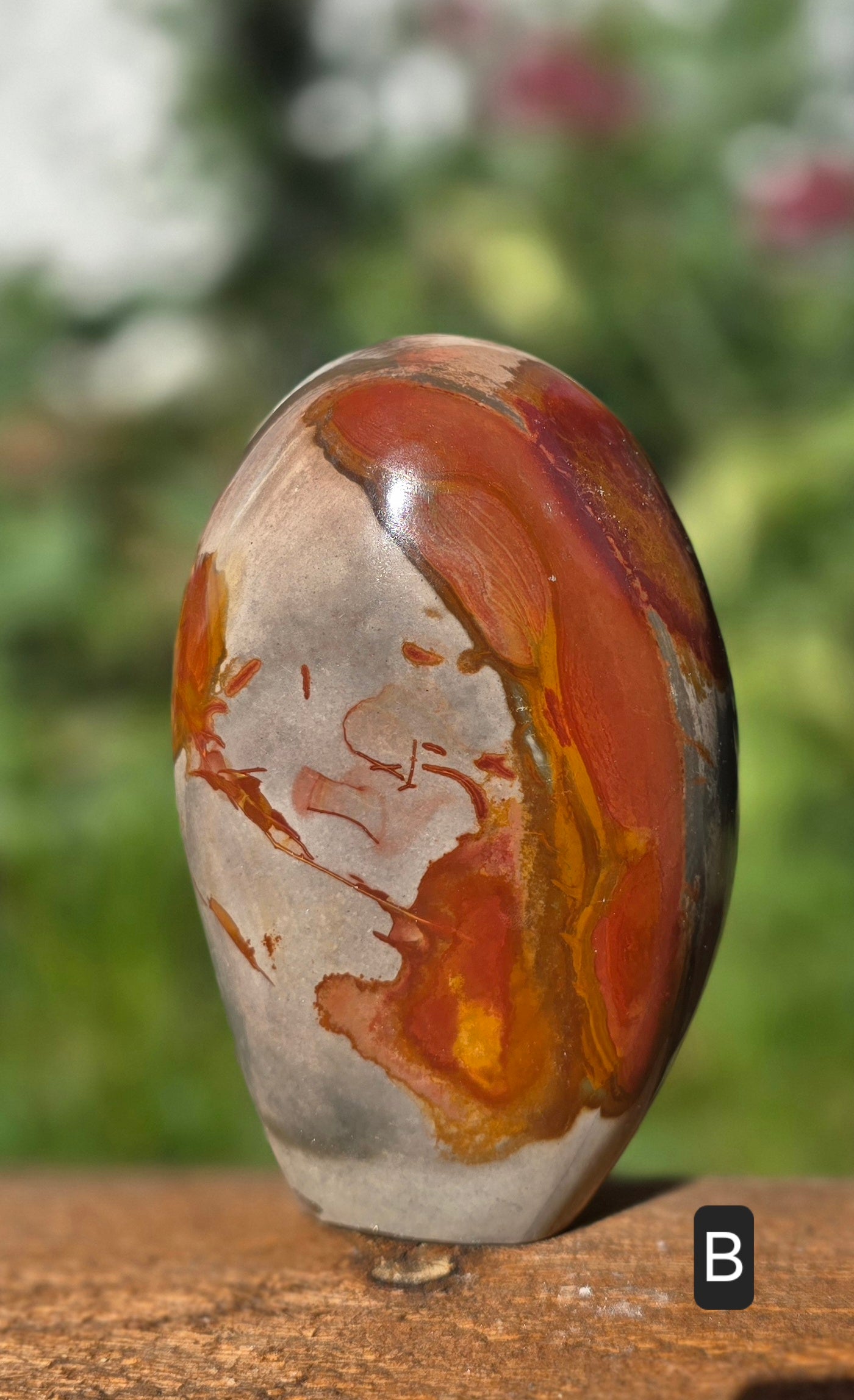 Polychrome Jasper