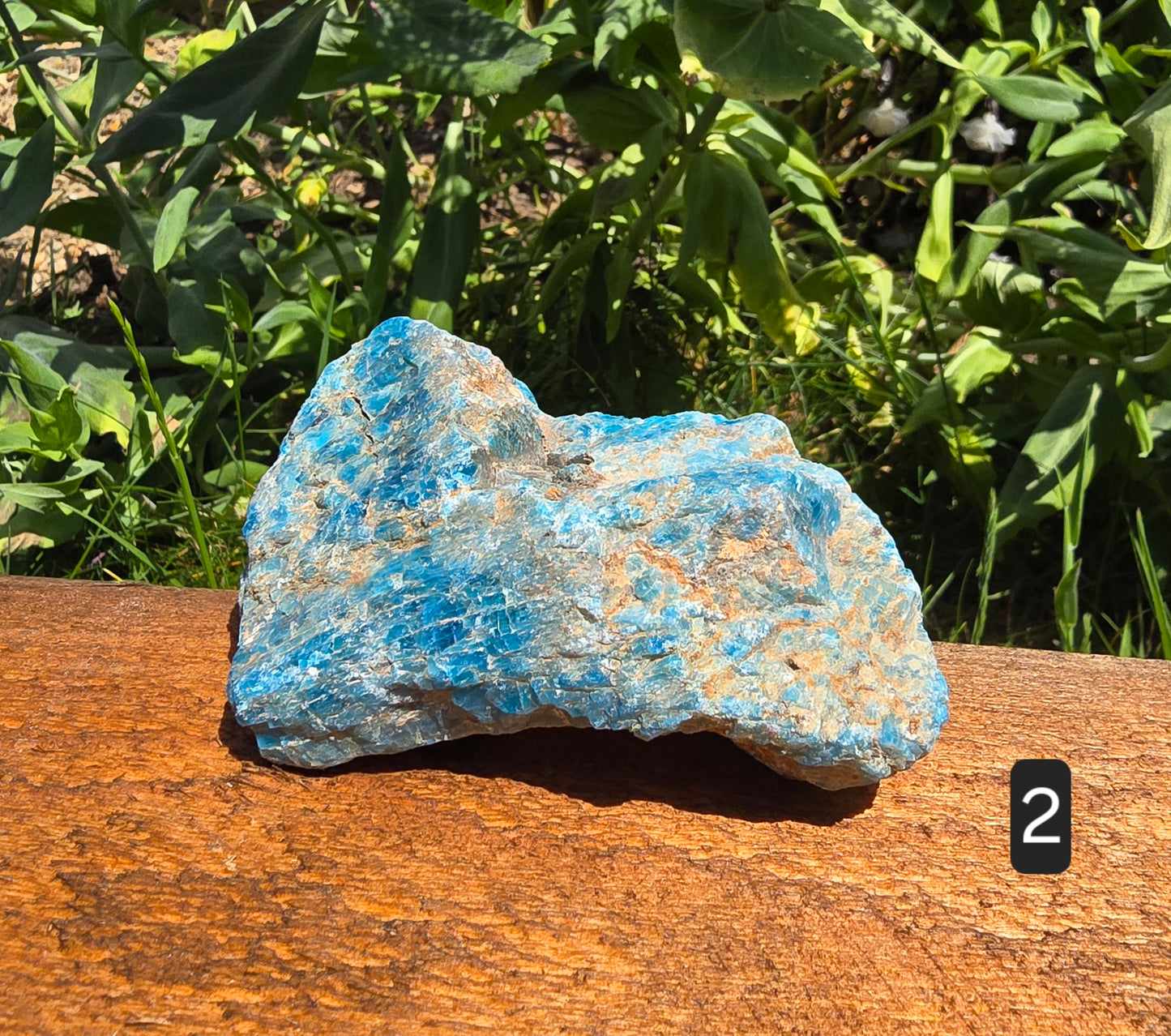 Apatite