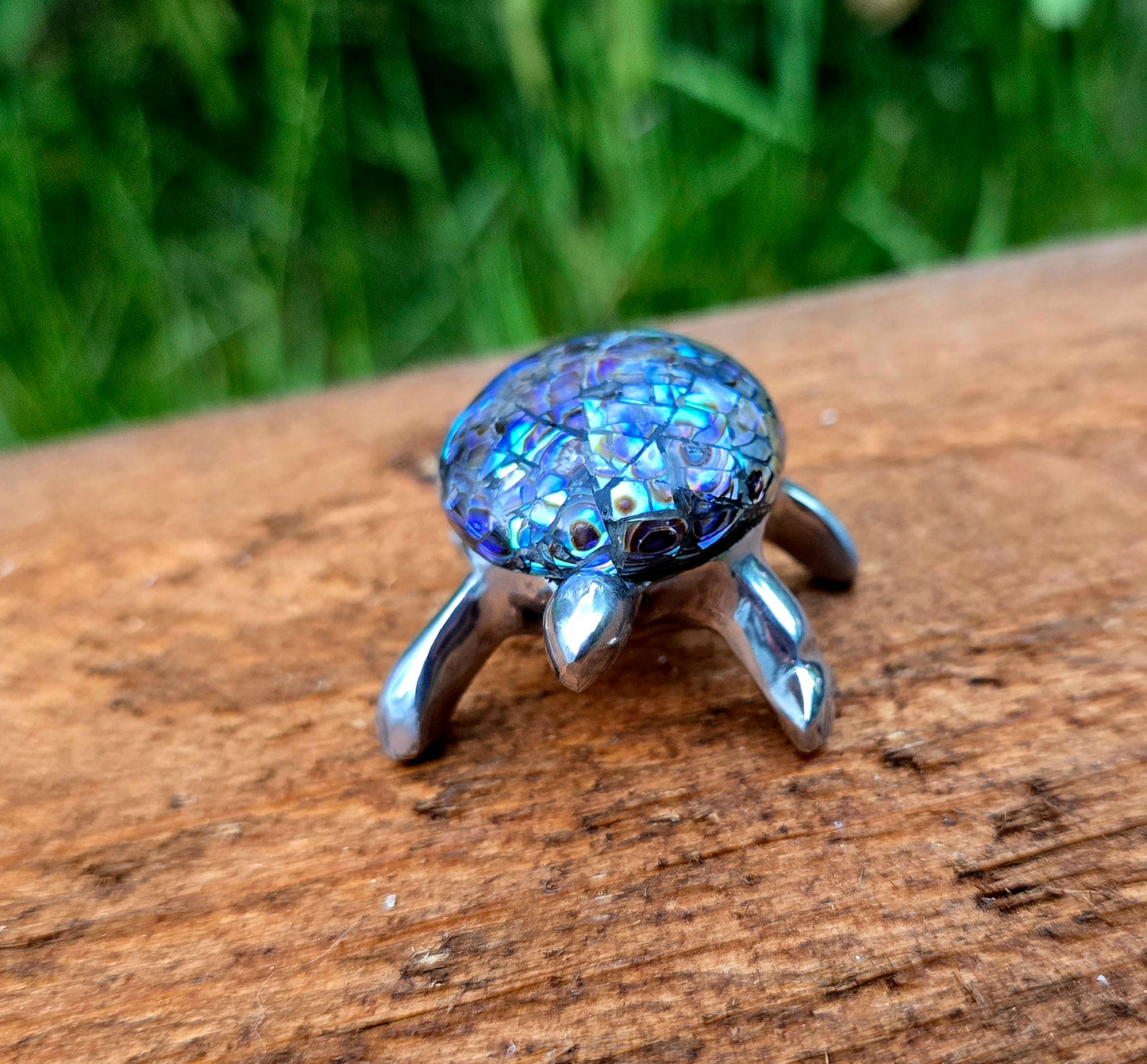 Abalone Turtle