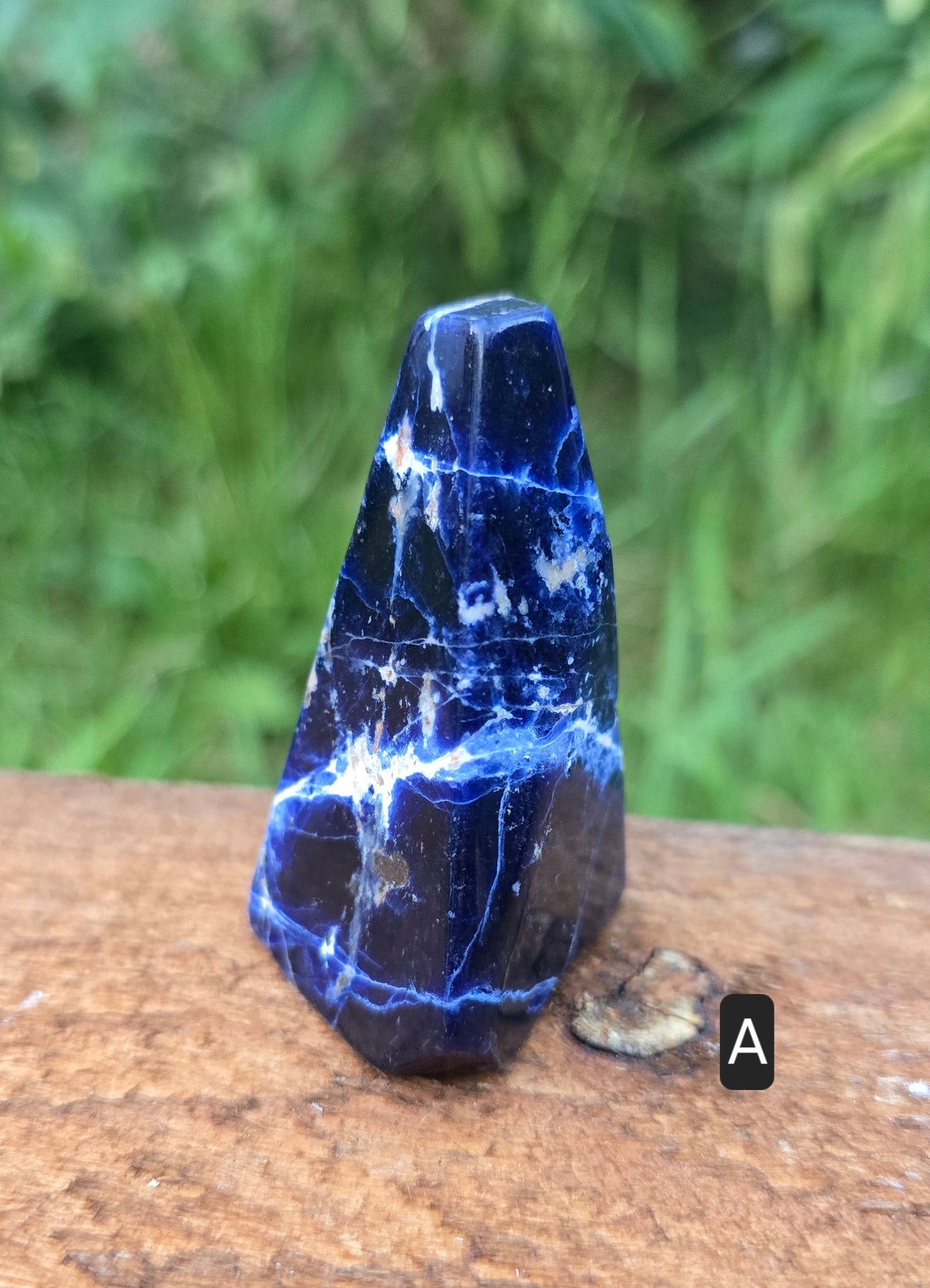 Lapis Lazuli Freeforms