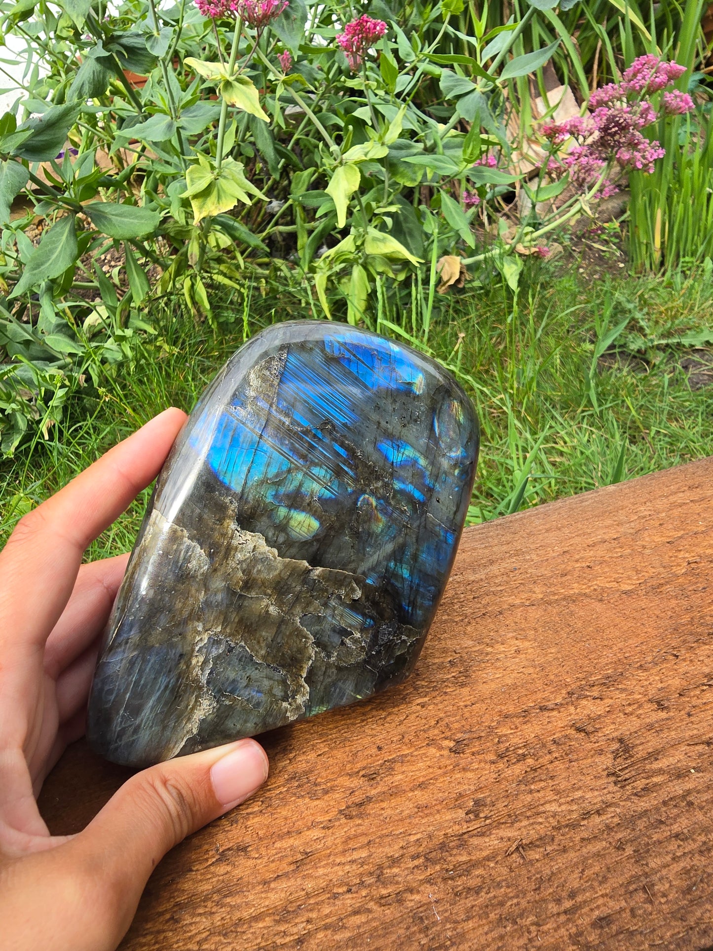 Labradorite Freeforms